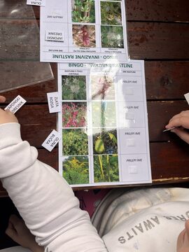 Delavnica-o-invazivnih-tujerodnih-vrstah.-Foto-Jasna-Tarman-scaled – kopija